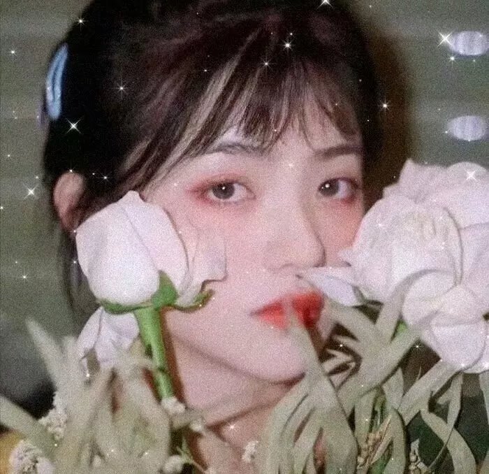蔷薇处处开